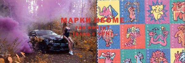 стаф Домодедово