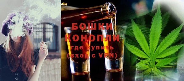 соль ск Липки