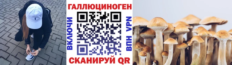 Галлюциногенные грибы Psilocybine cubensis  Смоленск 